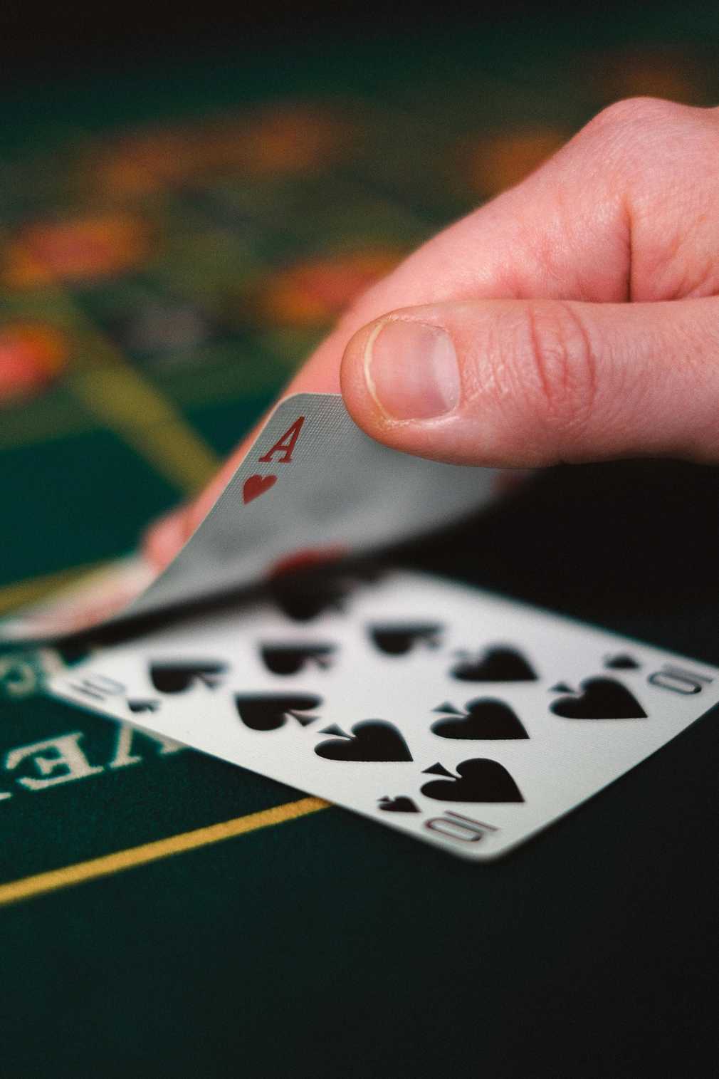 https://jeetcitycasinonz.com