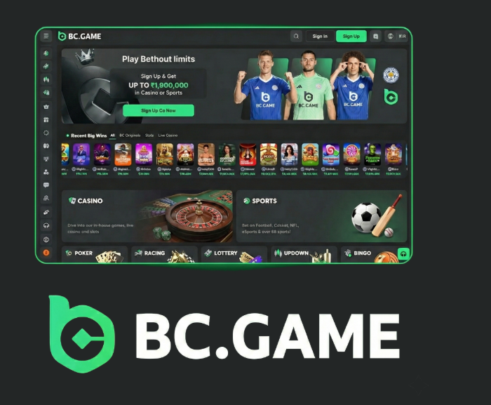 BC.Game Revolutionizing Online Gaming in Spain -332265307